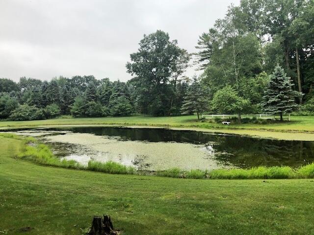 5101 Grow Road Northwest Stanton, MI 48888 - Photo 8 of 23 8 Pond View