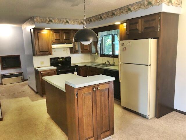 5101 Grow Road Northwest Stanton, MI 48888 - Photo 9 of 23 9 Kitchen