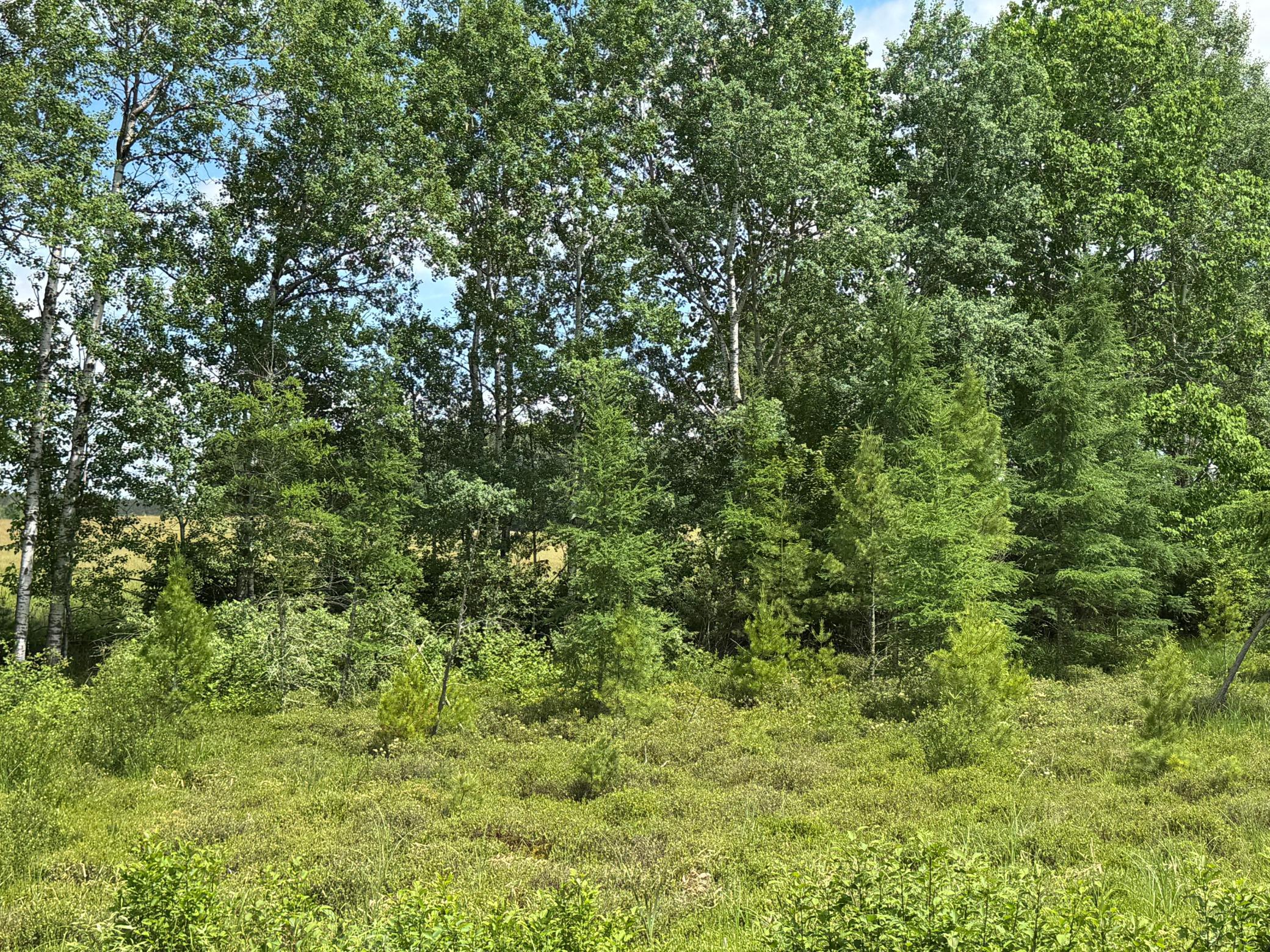 6398 Fred Tripp Road Springbrook, WI 54875 - Photo 24 of 30