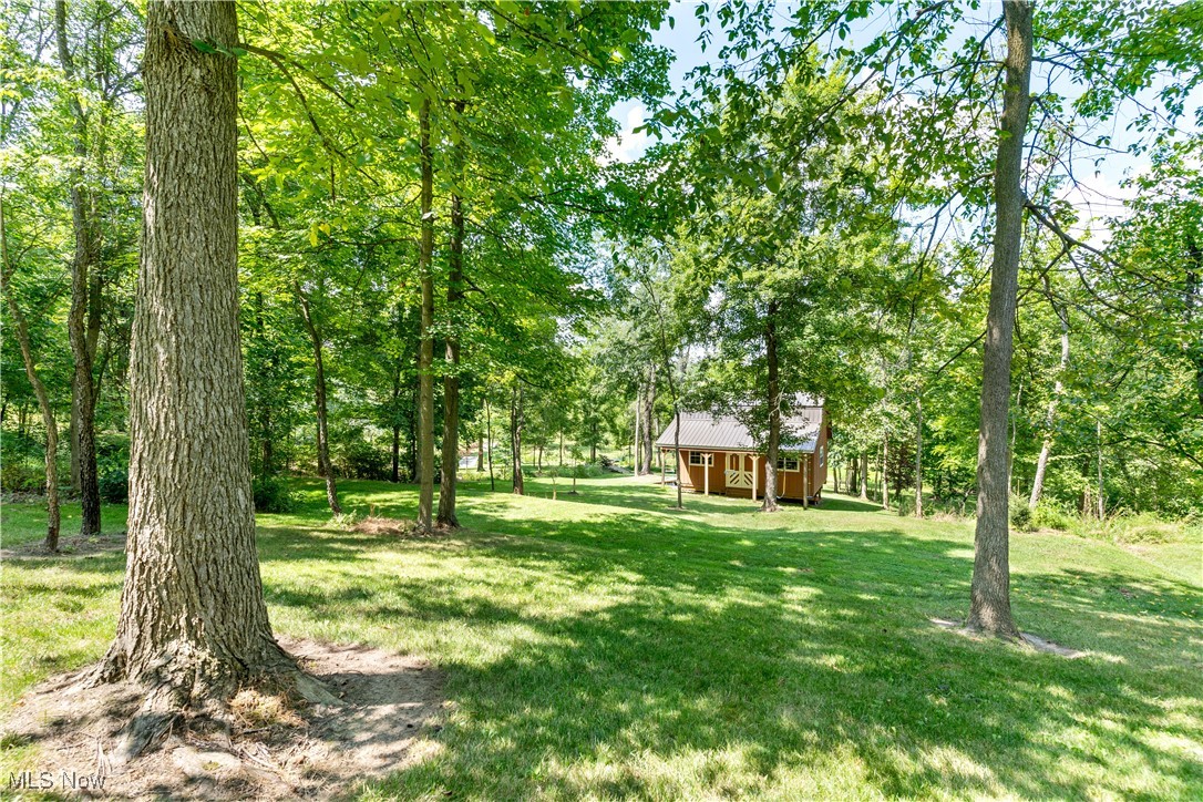 1784 North Medina Line Road Akron, OH 44333 - Photo 43 of 50 View of green lawn featuring view of scattered trees