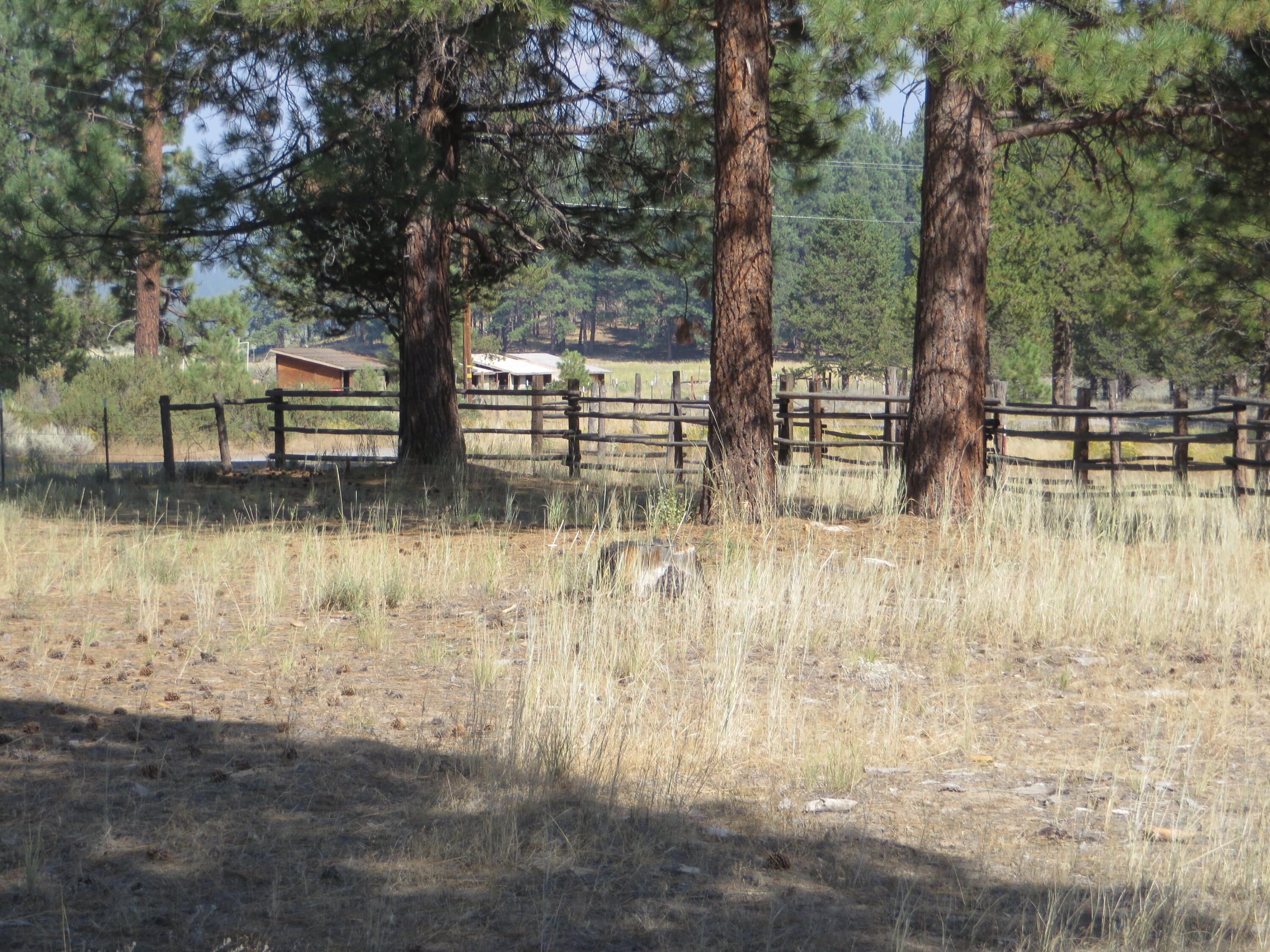 40020 9 Mile Road Chiloquin, OR 97624 - Photo 34 of 54 big pines