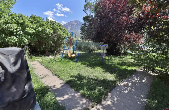 a view of a yard with plants and a large tree