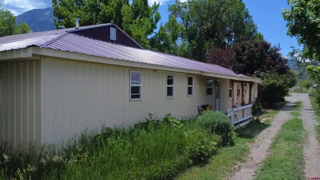 a backyard of a house with plants and large trees