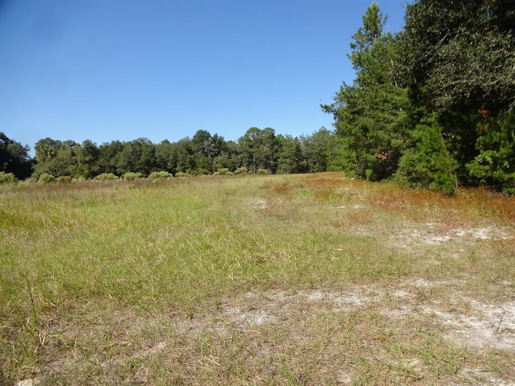 1220 Buckles Road Pierson, FL 32180 - Photo 1 of 1 Gallery Image 1