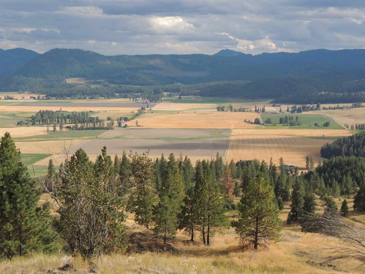 0 Marble Valley Addy, WA 99101 - Photo 1 of 9