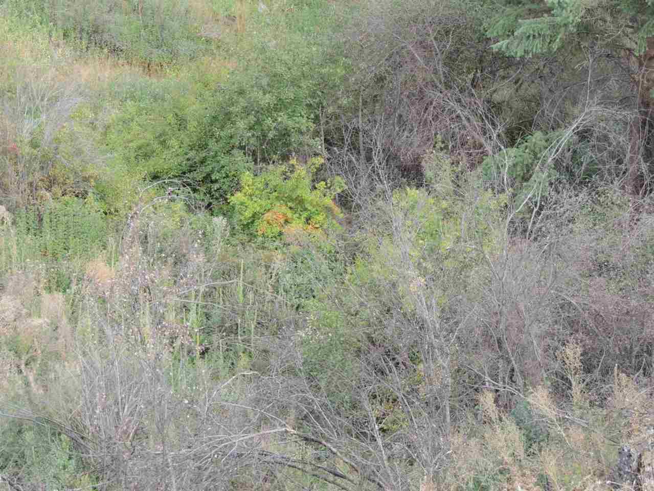 0 Marble Valley Addy, WA 99101 - Photo 3 of 9