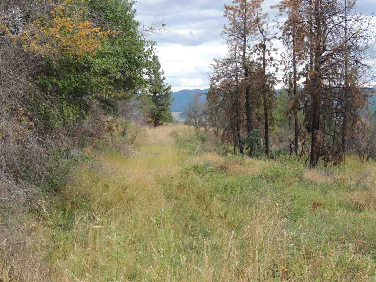 0 Marble Valley Addy, WA 99101 - Photo 4 of 9