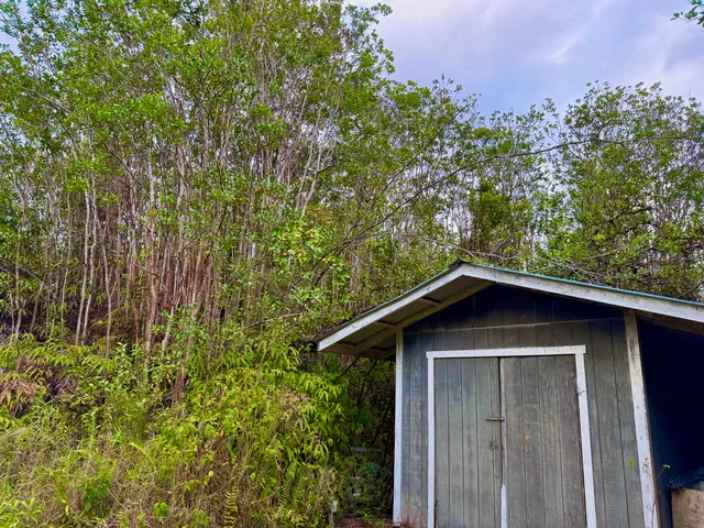 $225,000 | 11-2797 Pikake Street, Mountain View, HI 96771