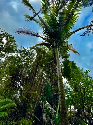 $225,000 | 11-2797 Pikake Street, Mountain View, HI 96771