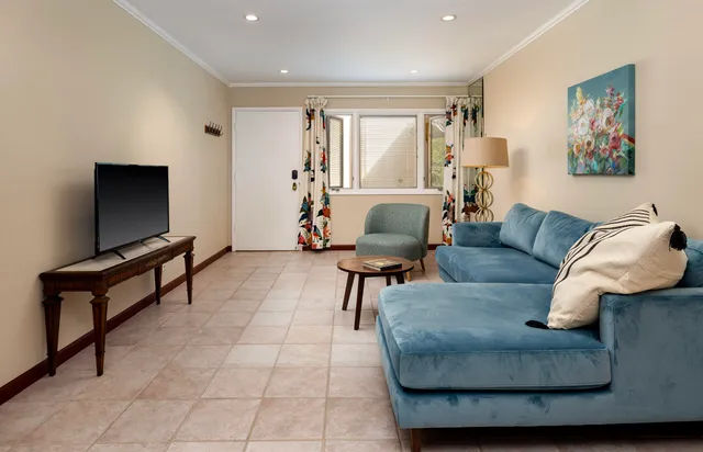 a view of a livingroom with furniture and a potted plant