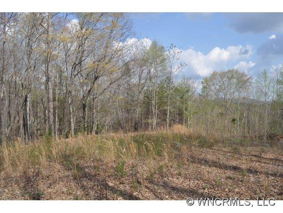 N/a Camp Hill Road Mill Spring, NC 28756 - Photo 1 of 6