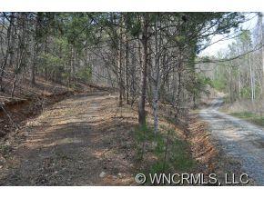N/a Camp Hill Road Mill Spring, NC 28756 - Photo 2 of 6