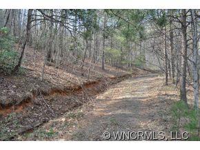 N/a Camp Hill Road Mill Spring, NC 28756 - Photo 3 of 6