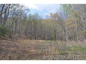 N/a Camp Hill Road Mill Spring, NC 28756 - Photo 4 of 6