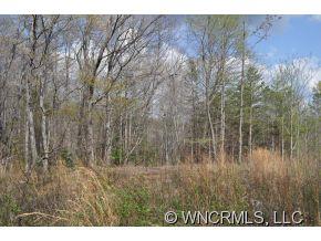 N/a Camp Hill Road Mill Spring, NC 28756 - Photo 5 of 6
