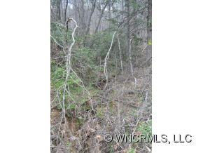 N/a Camp Hill Road Mill Spring, NC 28756 - Photo 6 of 6