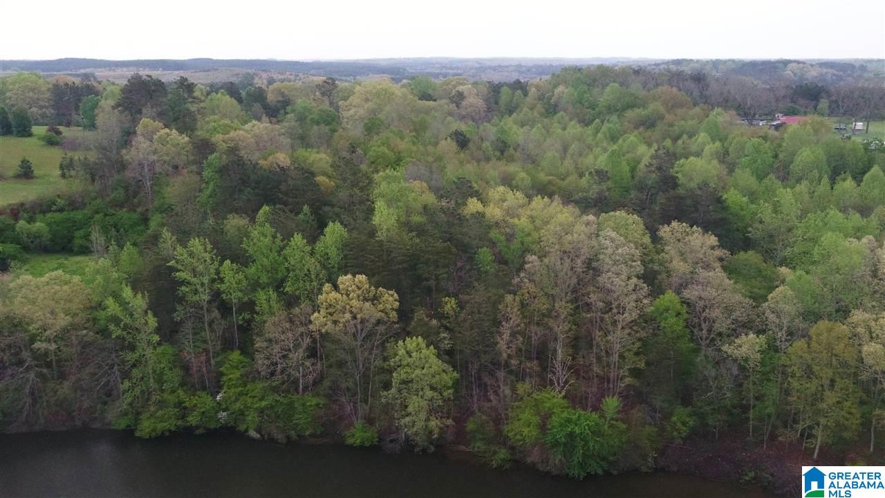 0 Dime Road, Unit 1 20 Haleyville, AL 35565 - Photo 7 of 14