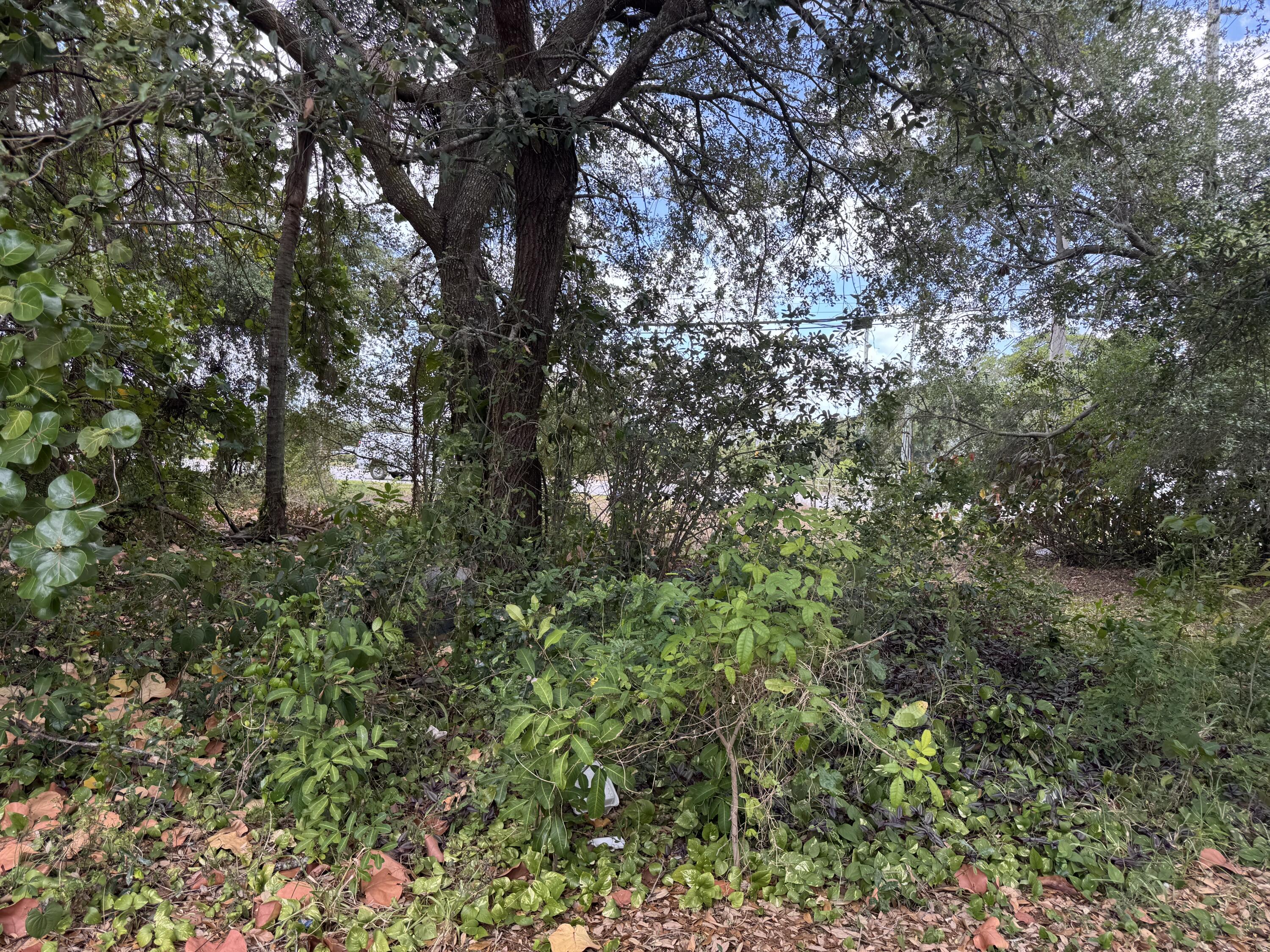 3358 Jog Road Greenacres, FL 33467 - Photo 7 of 15 IMG_4612