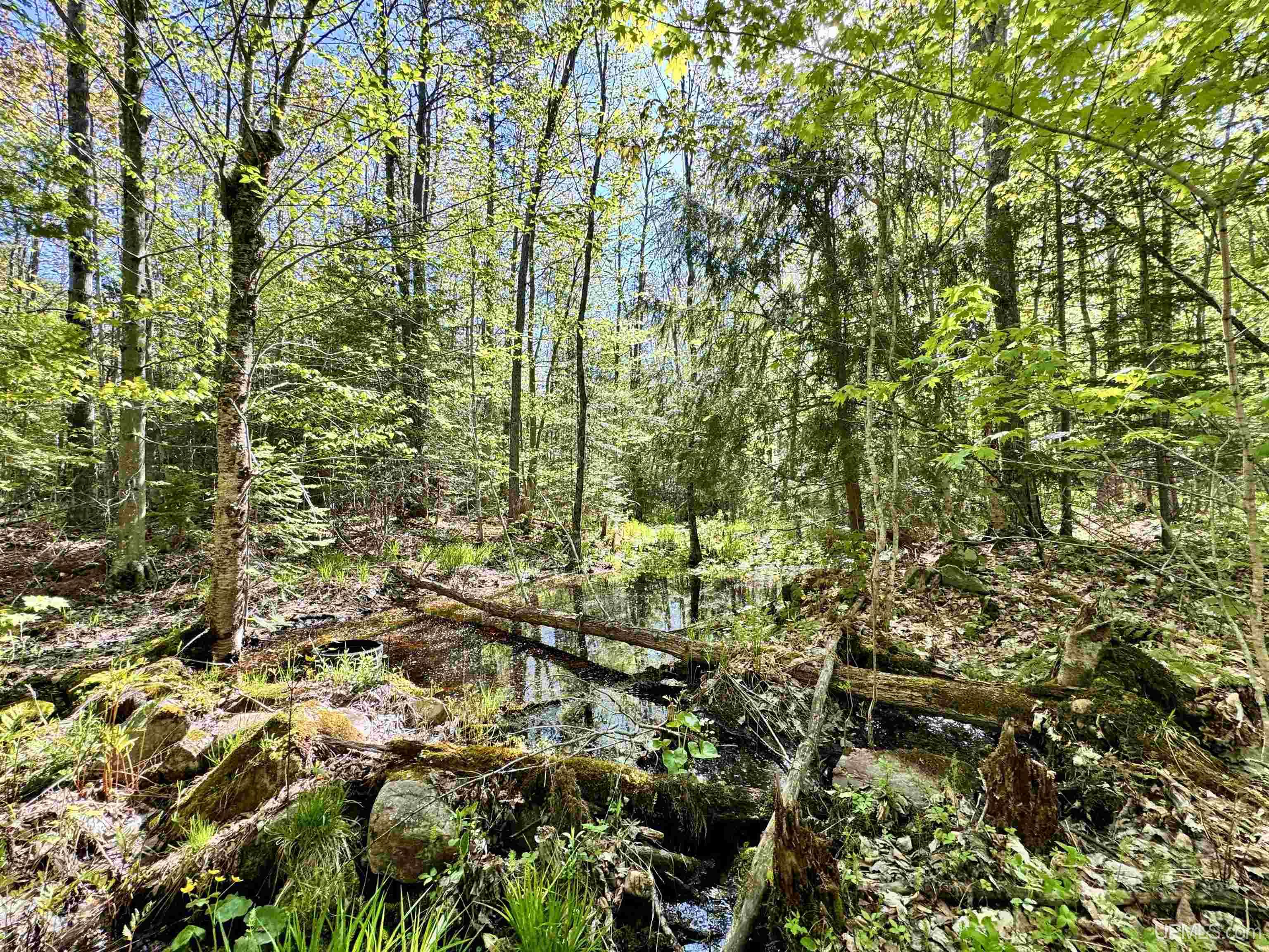 Tbd Tbd Segan Road Marquette, MI 49855 - Photo 20 of 21