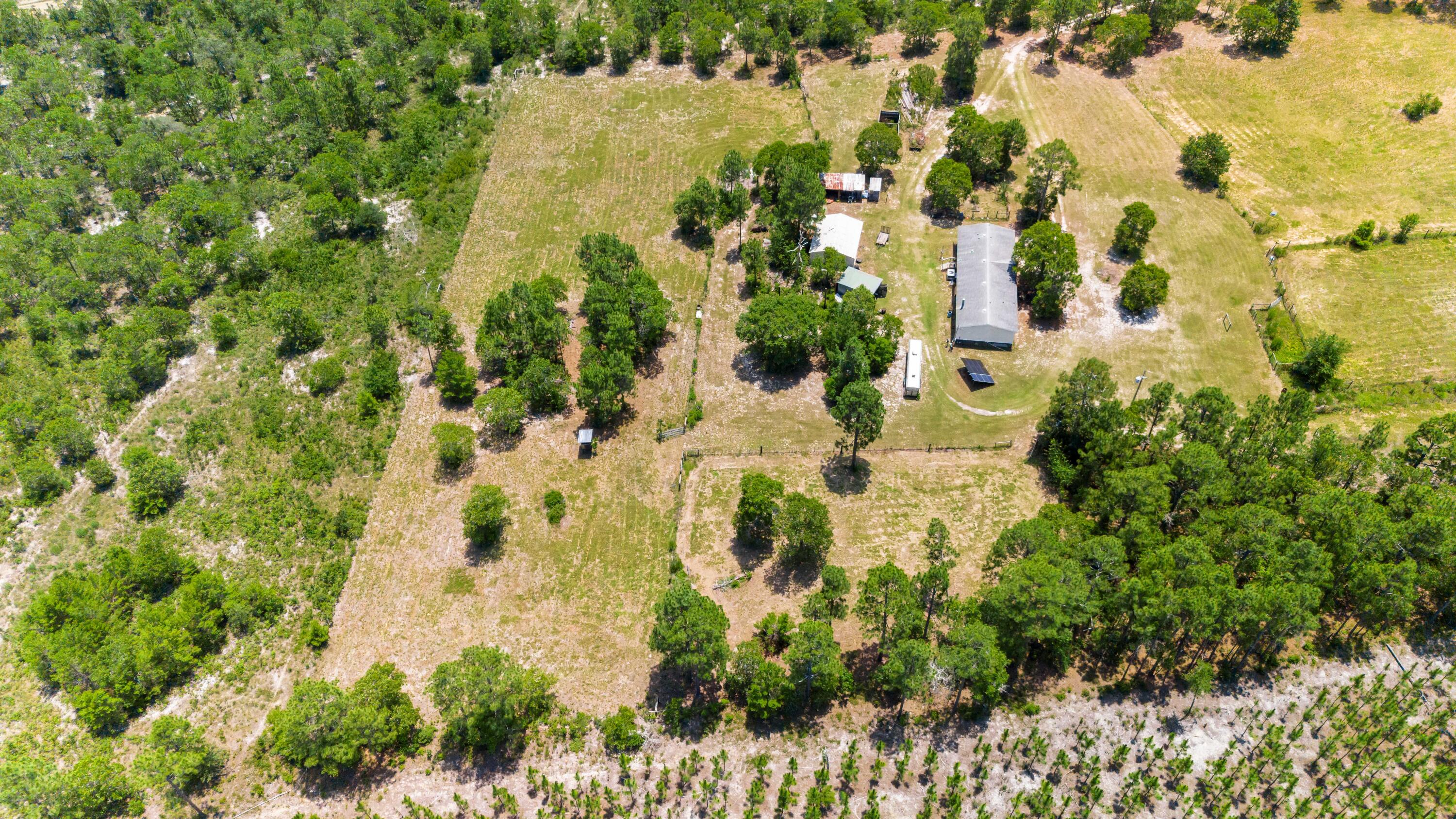 798 Big Branch Road Wagener, SC 29164 - Photo 6 of 63
