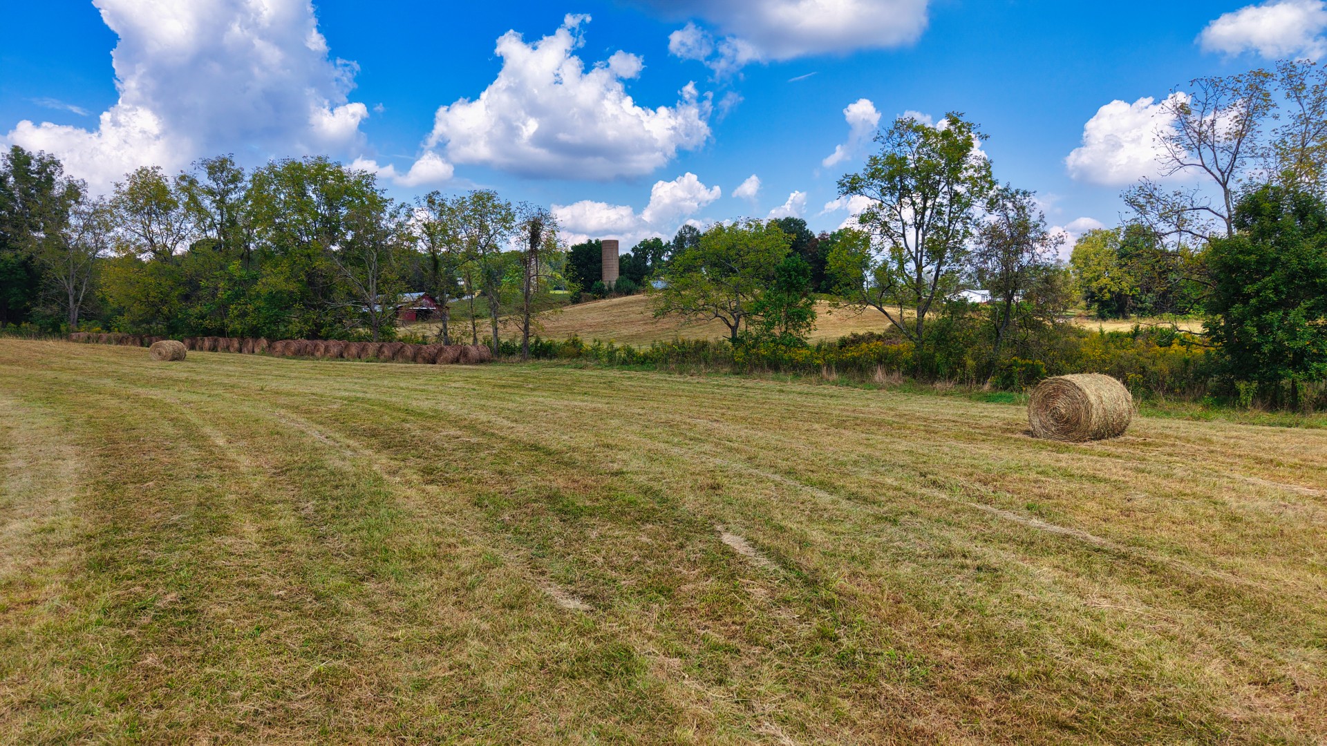 0 Mitchell Ridge Road Jonesborough, TN 37659 - Photo 16 of 82 Gallery Image 16