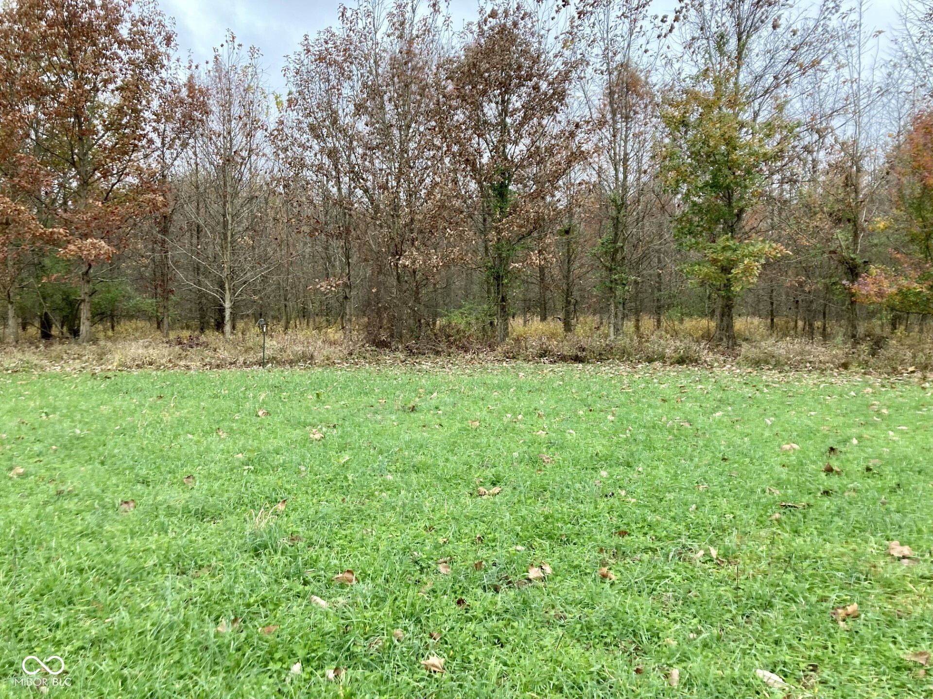 0 South Iron Mt Road Bloomfield, IN 47424 - Photo 11 of 77 Gallery Image 11