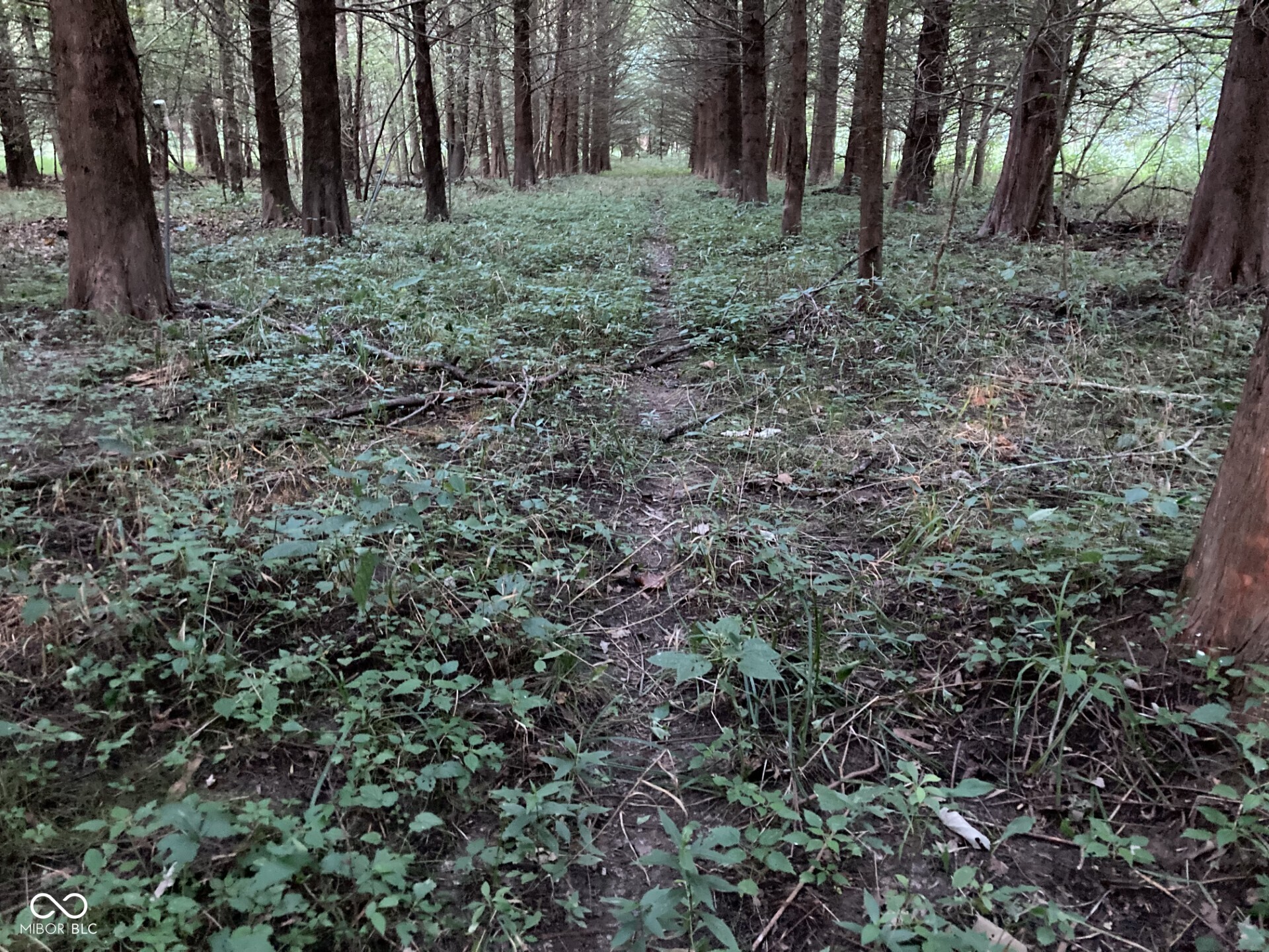 0 South Iron Mt Road Bloomfield, IN 47424 - Photo 23 of 77 Gallery Image 23