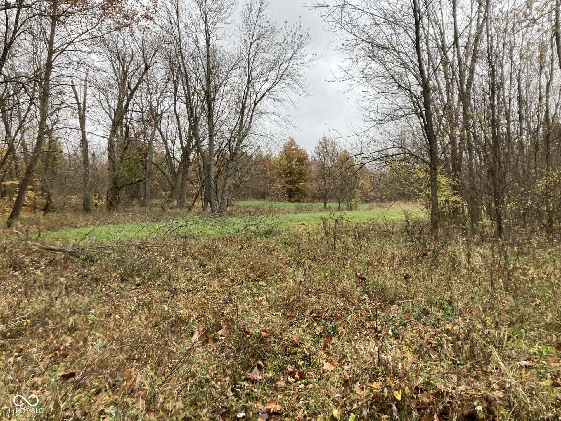 0 South Iron Mt Road Bloomfield, IN 47424 - Photo 25 of 77 Gallery Image 25