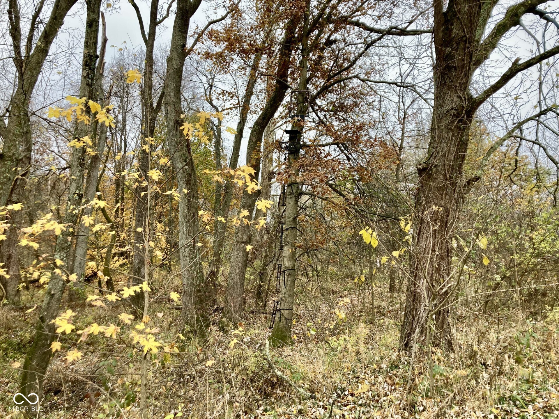 0 South Iron Mt Road Bloomfield, IN 47424 - Photo 27 of 77 Gallery Image 27