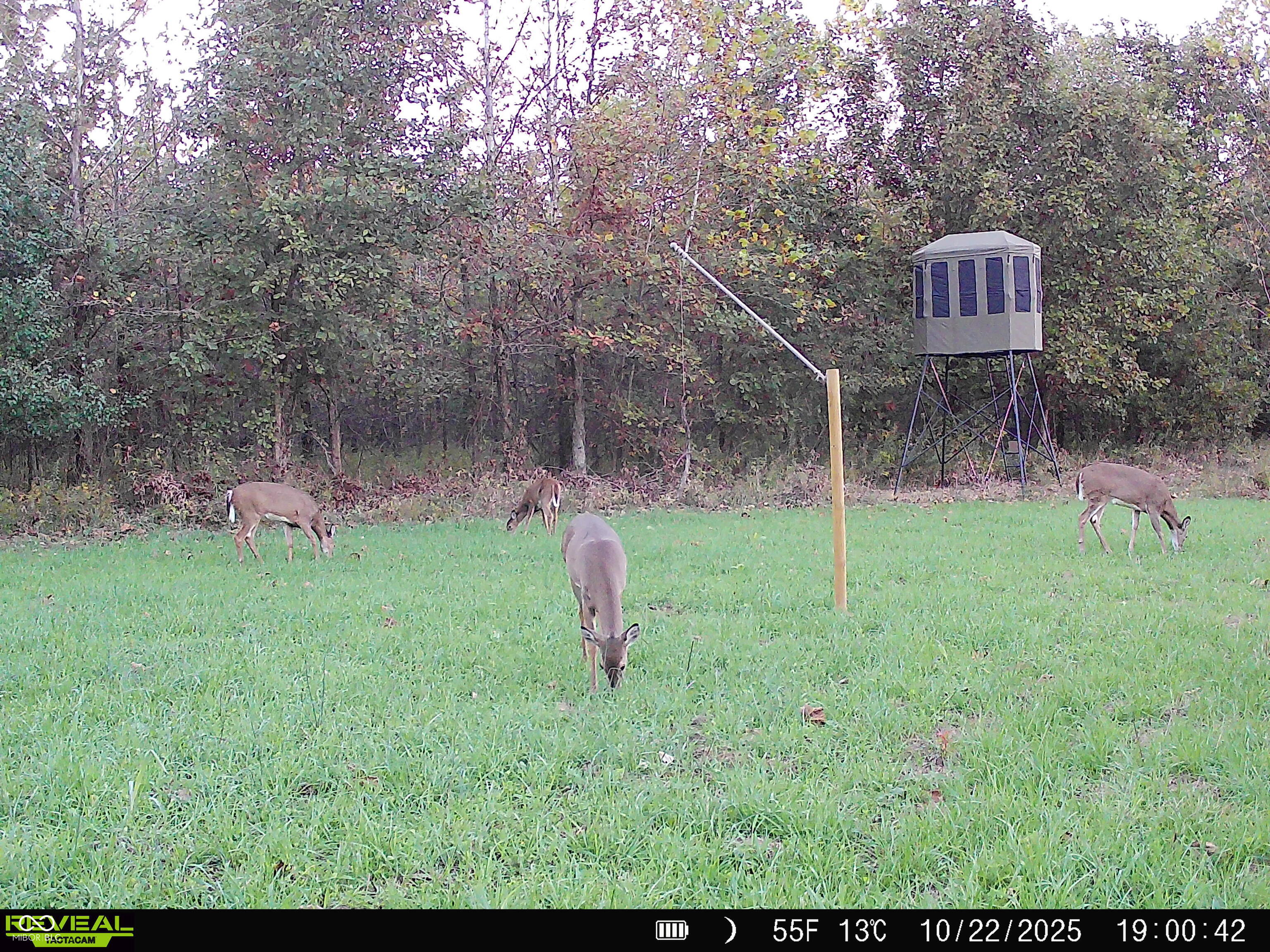 0 South Iron Mt Road Bloomfield, IN 47424 - Photo 48 of 77 Gallery Image 48