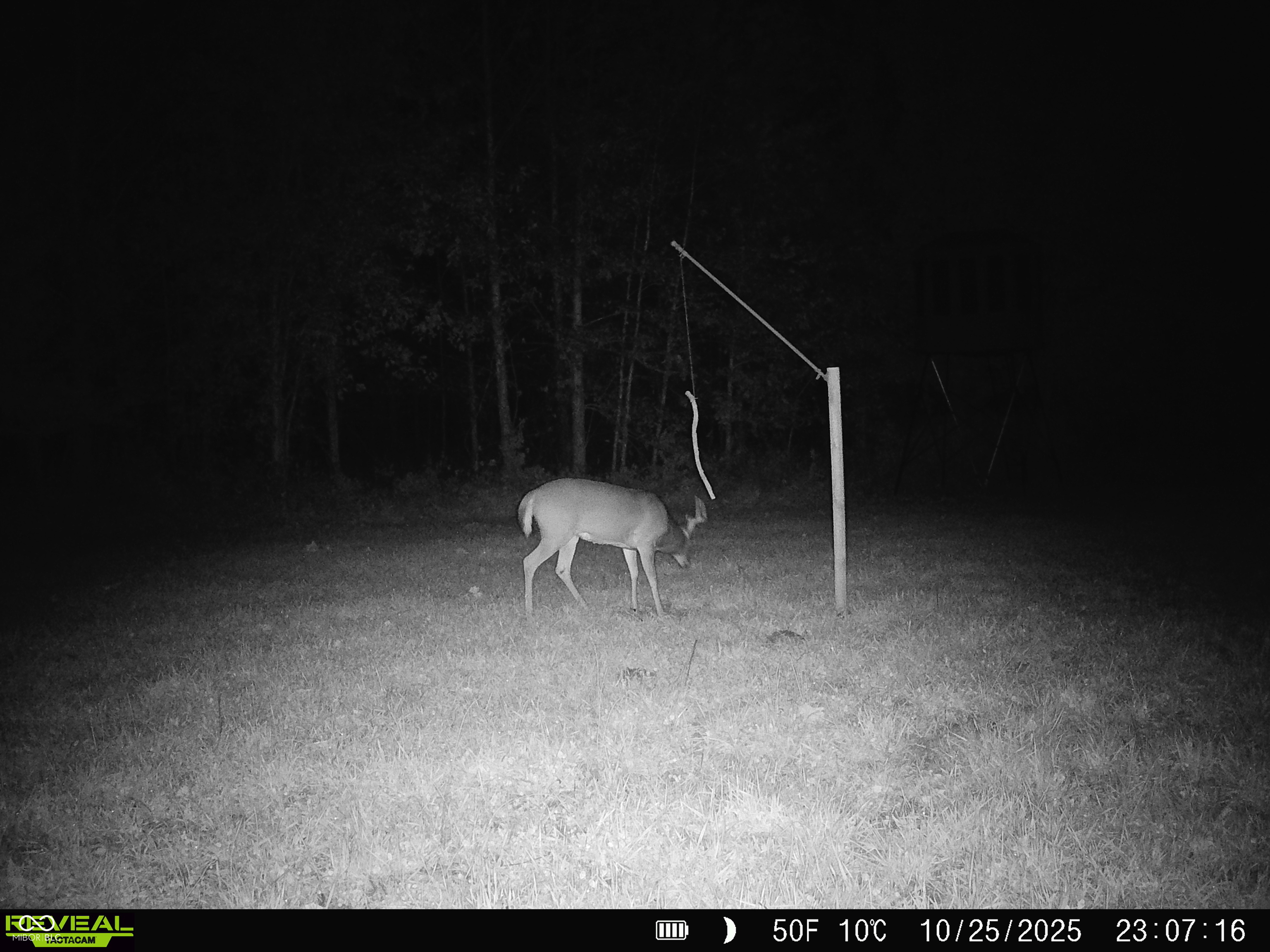 0 South Iron Mt Road Bloomfield, IN 47424 - Photo 60 of 77 Gallery Image 60
