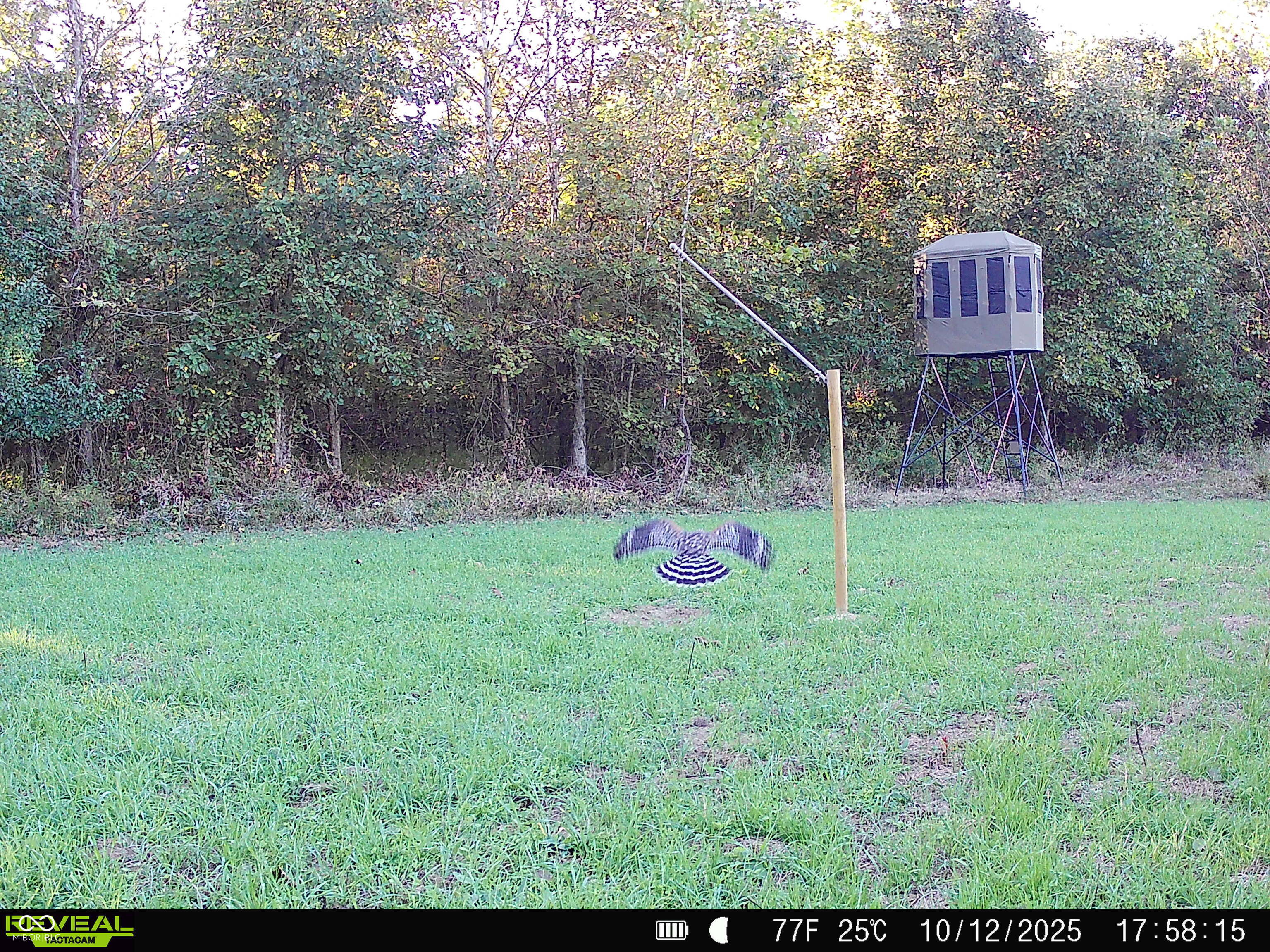 0 South Iron Mt Road Bloomfield, IN 47424 - Photo 62 of 77 Gallery Image 62