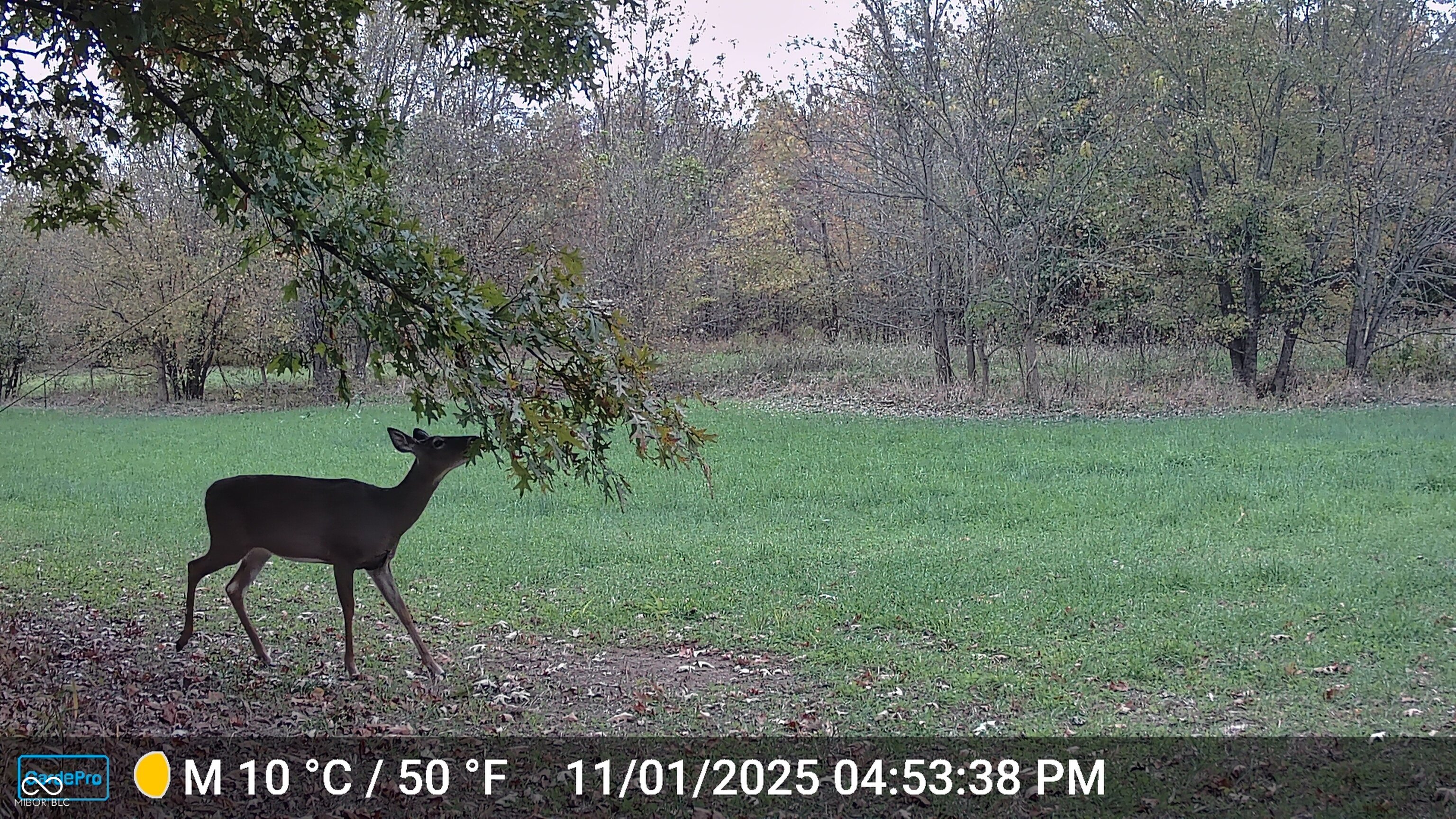0 South Iron Mt Road Bloomfield, IN 47424 - Photo 67 of 77 Gallery Image 67