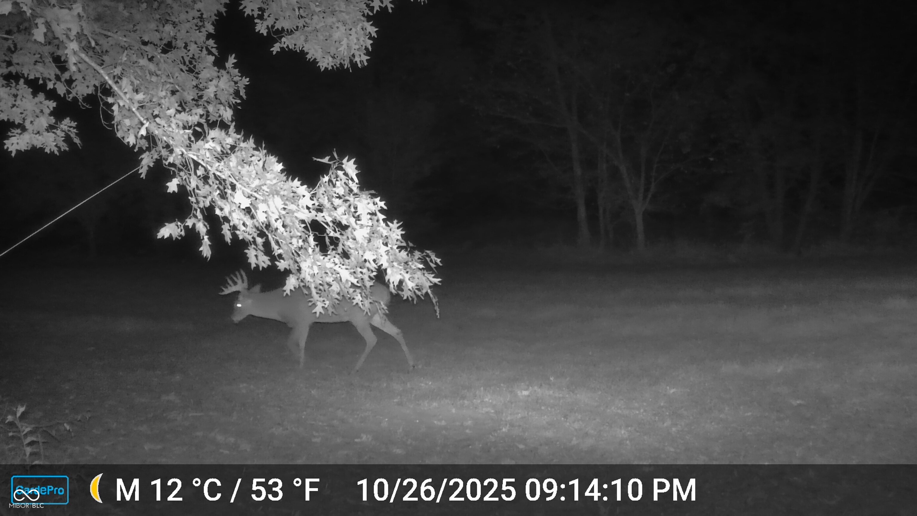 0 South Iron Mt Road Bloomfield, IN 47424 - Photo 68 of 77 Gallery Image 68