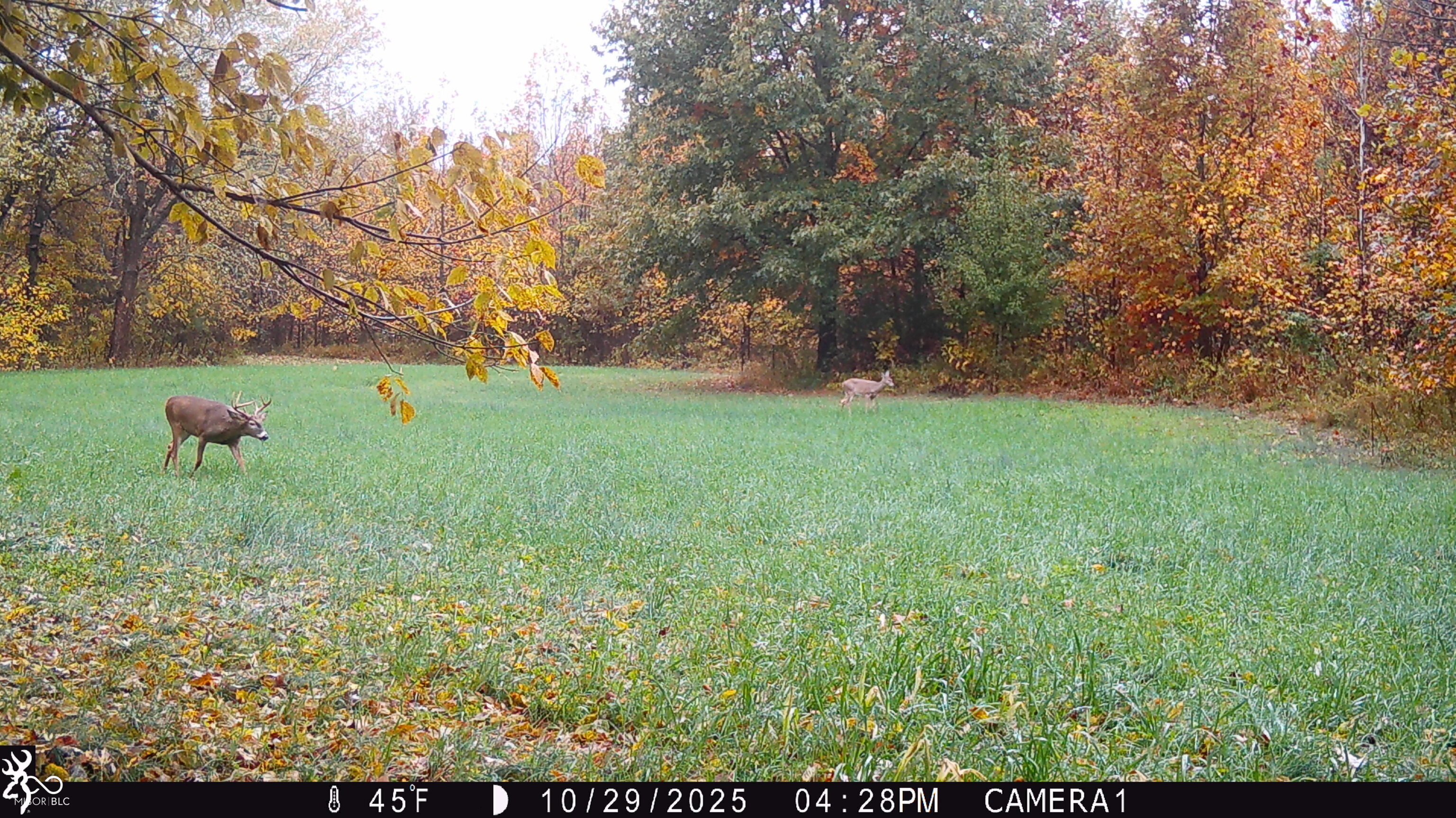 0 South Iron Mt Road Bloomfield, IN 47424 - Photo 70 of 77 Gallery Image 70