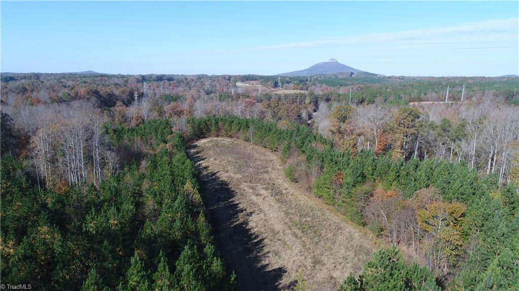 0 West Dalton Road Pinnacle, NC 27043 - Photo 11 of 21 Gallery Image 11