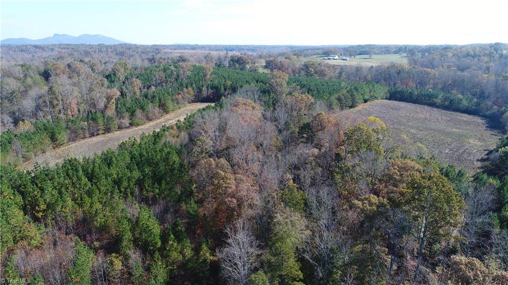 0 West Dalton Road Pinnacle, NC 27043 - Photo 12 of 21 Gallery Image 12