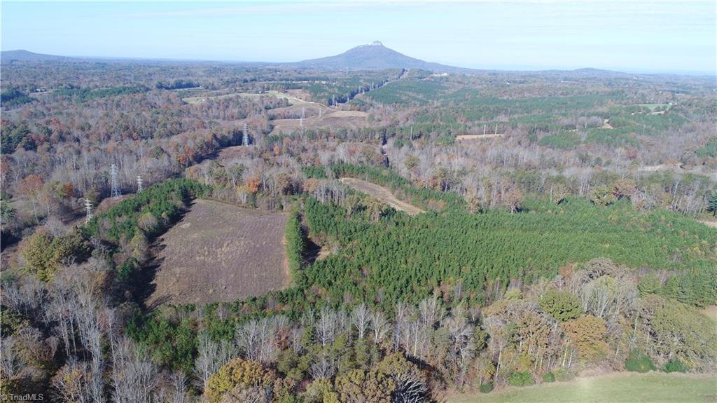 0 West Dalton Road Pinnacle, NC 27043 - Photo 16 of 21 Gallery Image 16