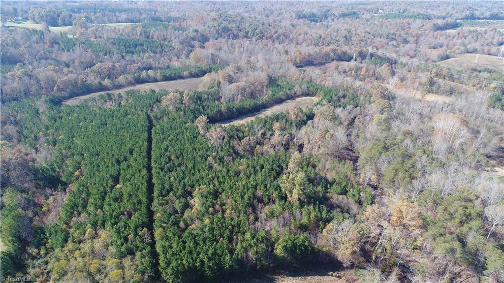 0 West Dalton Road Pinnacle, NC 27043 - Photo 18 of 21 Gallery Image 18
