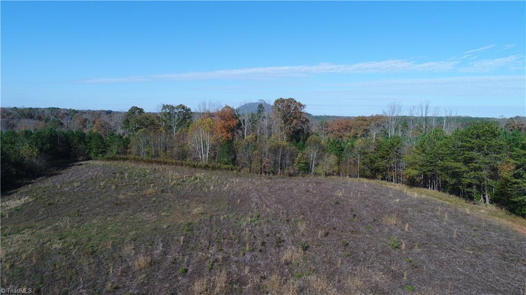 0 West Dalton Road Pinnacle, NC 27043 - Photo 20 of 21 Gallery Image 20