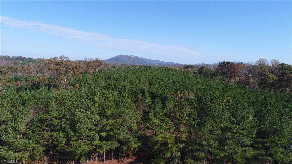 0 West Dalton Road Pinnacle, NC 27043 - Photo 21 of 21 Gallery Image 21