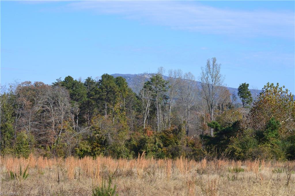 0 West Dalton Road Pinnacle, NC 27043 - Photo 8 of 21 Gallery Image 8