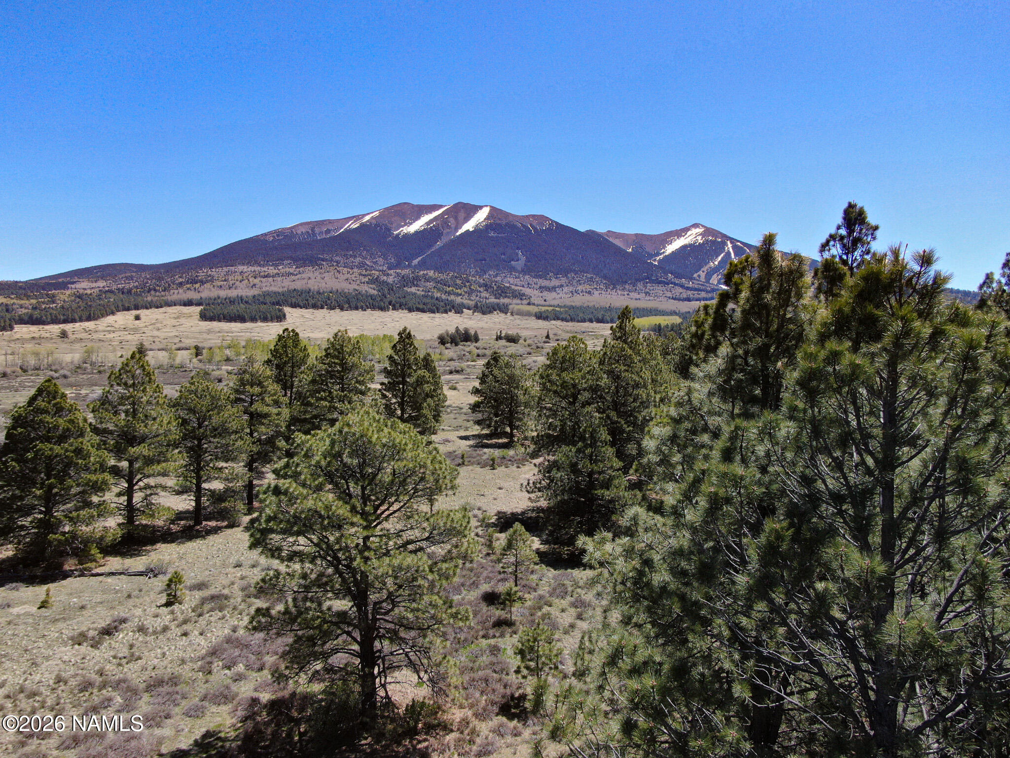 3 Hart Prairie Road Flagstaff, AZ 86001 - Photo 1 of 30 a view of a forest with mountains in the background