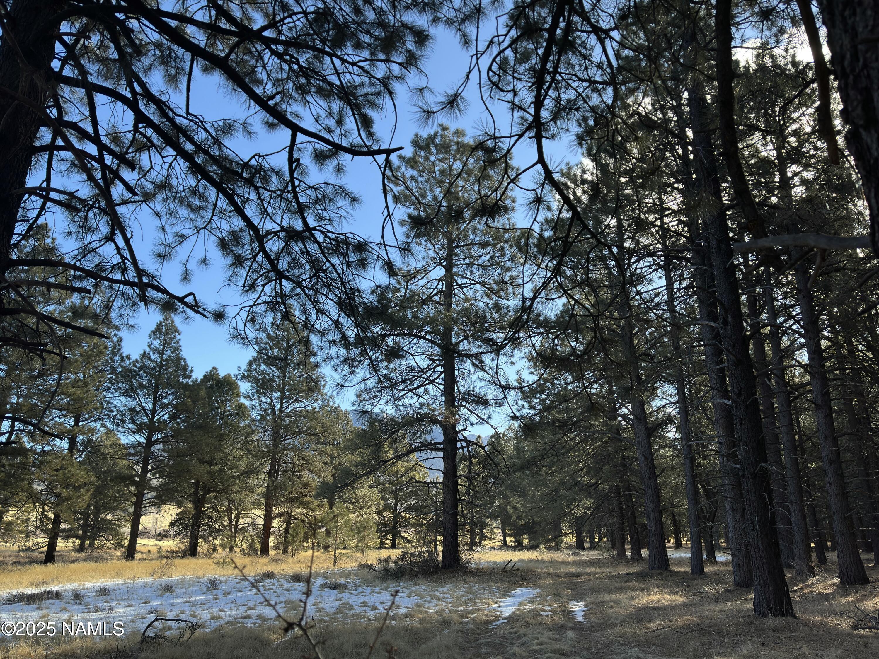 3 Hart Prairie Road Flagstaff, AZ 86001 - Photo 19 of 30