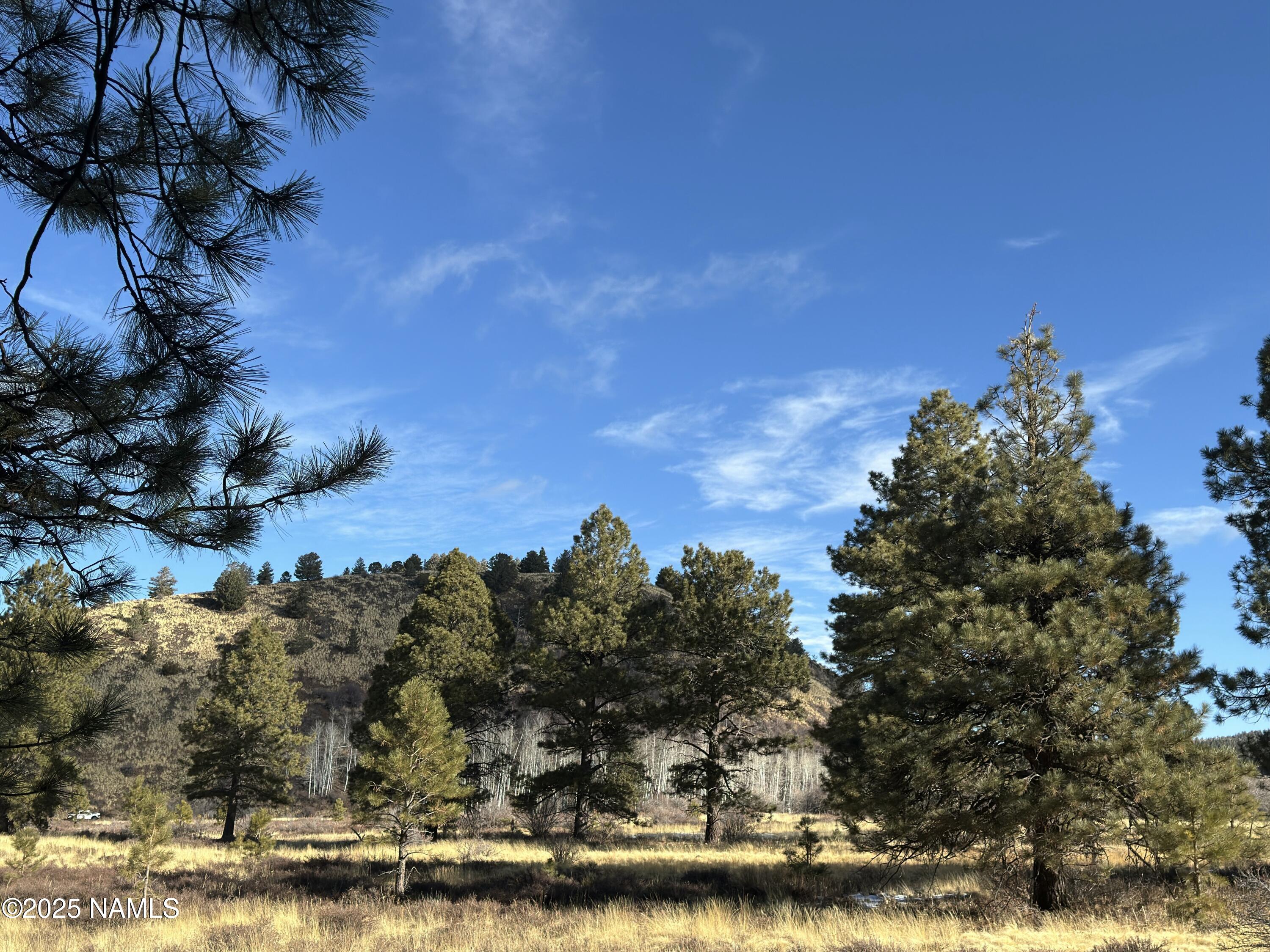 3 Hart Prairie Road Flagstaff, AZ 86001 - Photo 20 of 30 a view of a yard