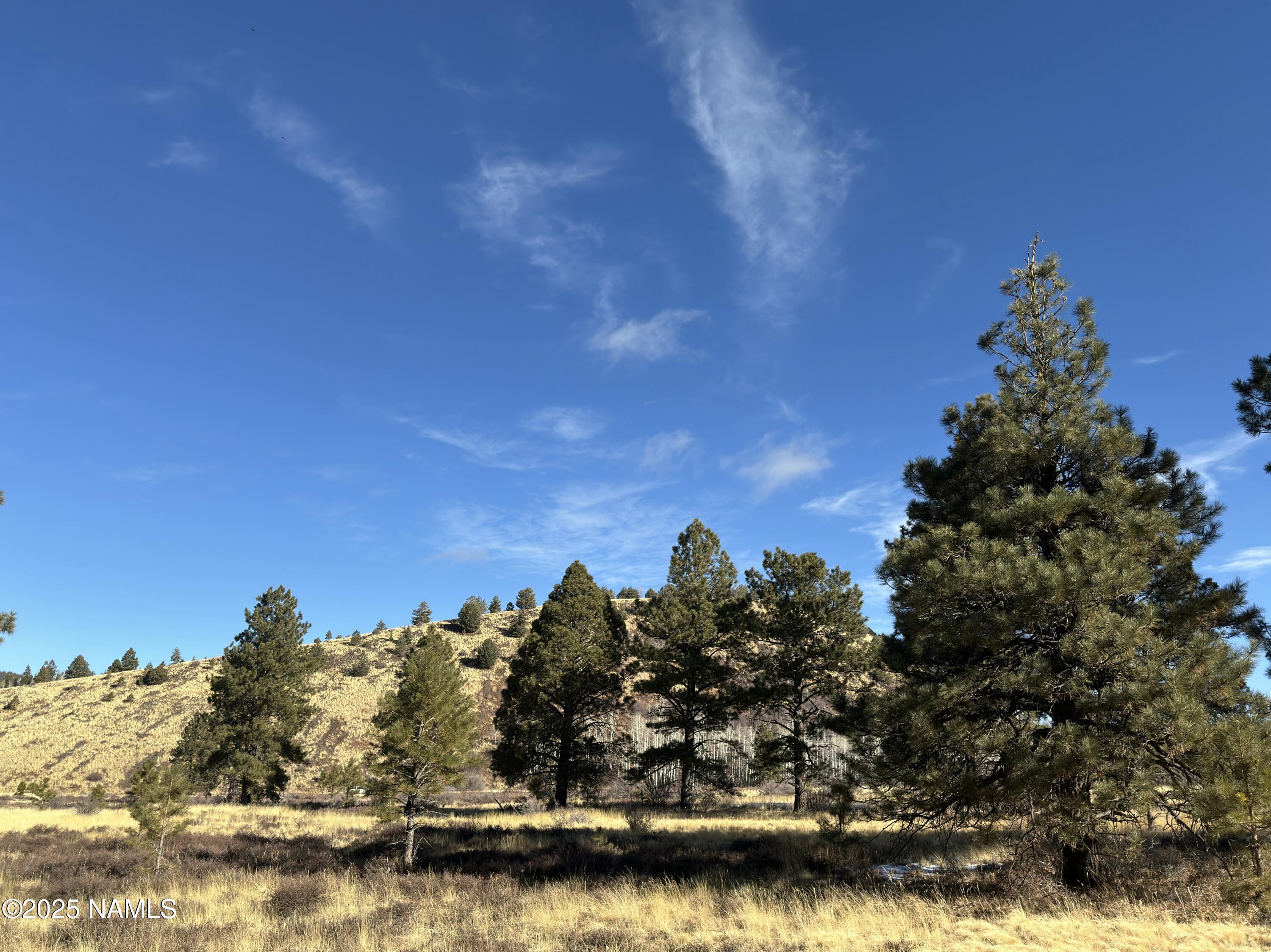 3 Hart Prairie Road Flagstaff, AZ 86001 - Photo 21 of 30 a view of a lake with houses