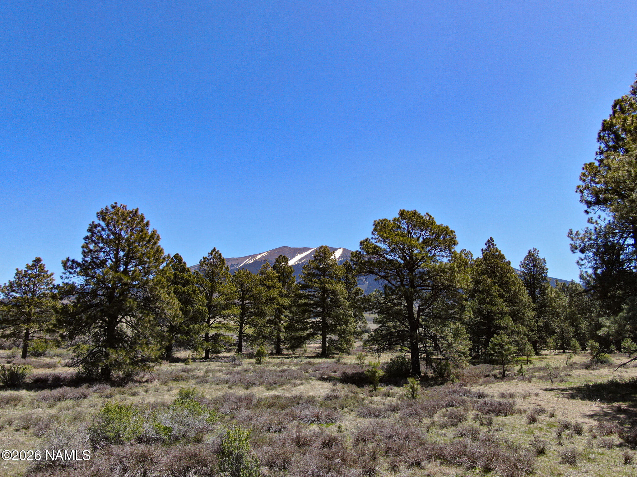 3 Hart Prairie Road Flagstaff, AZ 86001 - Photo 7 of 30 DJI_0246