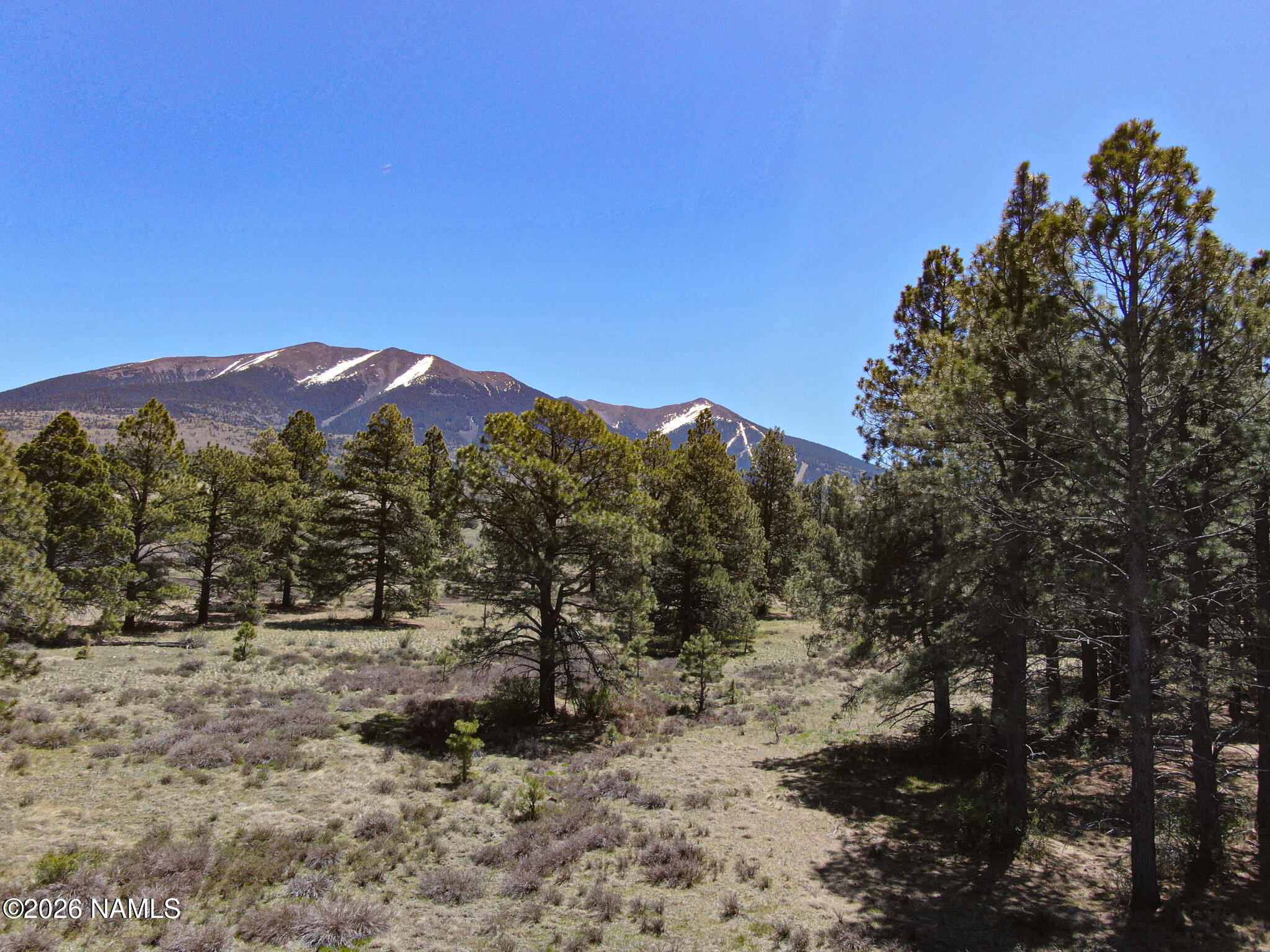3 Hart Prairie Road Flagstaff, AZ 86001 - Photo 9 of 30 a view of a covered with trees in the background