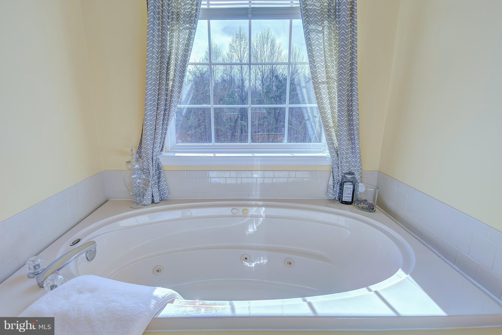 3856 Sixes Road Prince Frederick, MD 20678 - Photo 17 of 28 Master Bath
