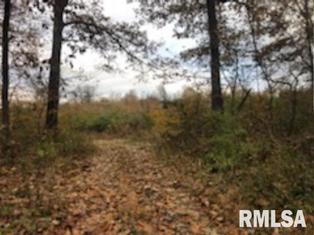 146 South Road Road Cave In Rock, IL 62919 - Photo 1 of 7